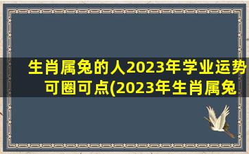 生肖属兔的人2023年学业运势 可圈可点(2023年生肖属兔学业运势看好，能获得可圈可点的成就！)